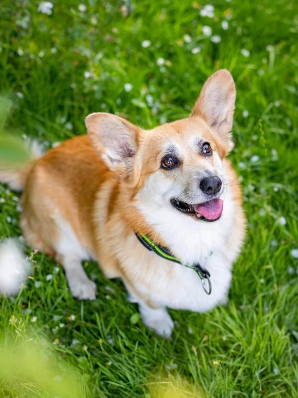 pexels-valeriya-8963713